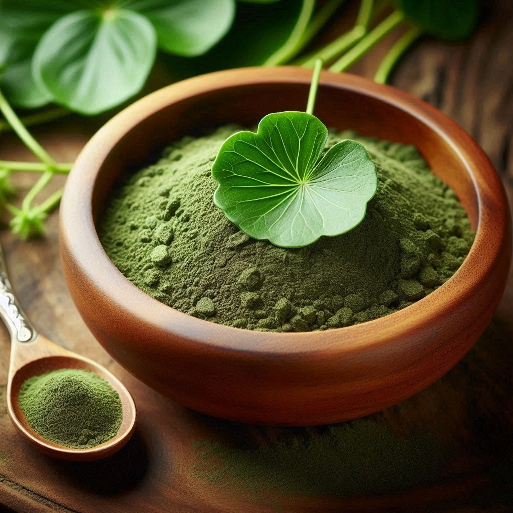 Gotu Kola Powder ( Organic Powder )-1