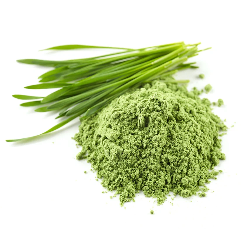 Wheat Grass Powder ( Organic Powder )-2