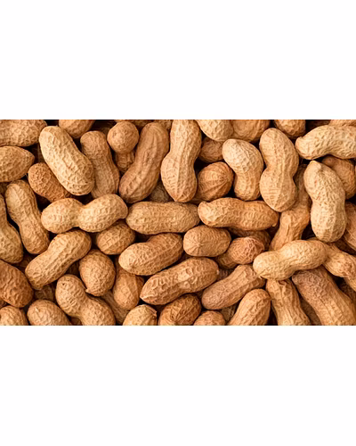 Groundnuts-11699354
