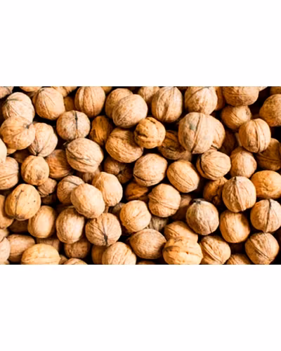 Walnut-11699370