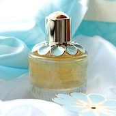 Perfume and Fragrances