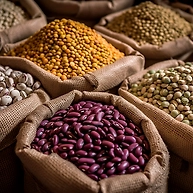 Pulses and Beans