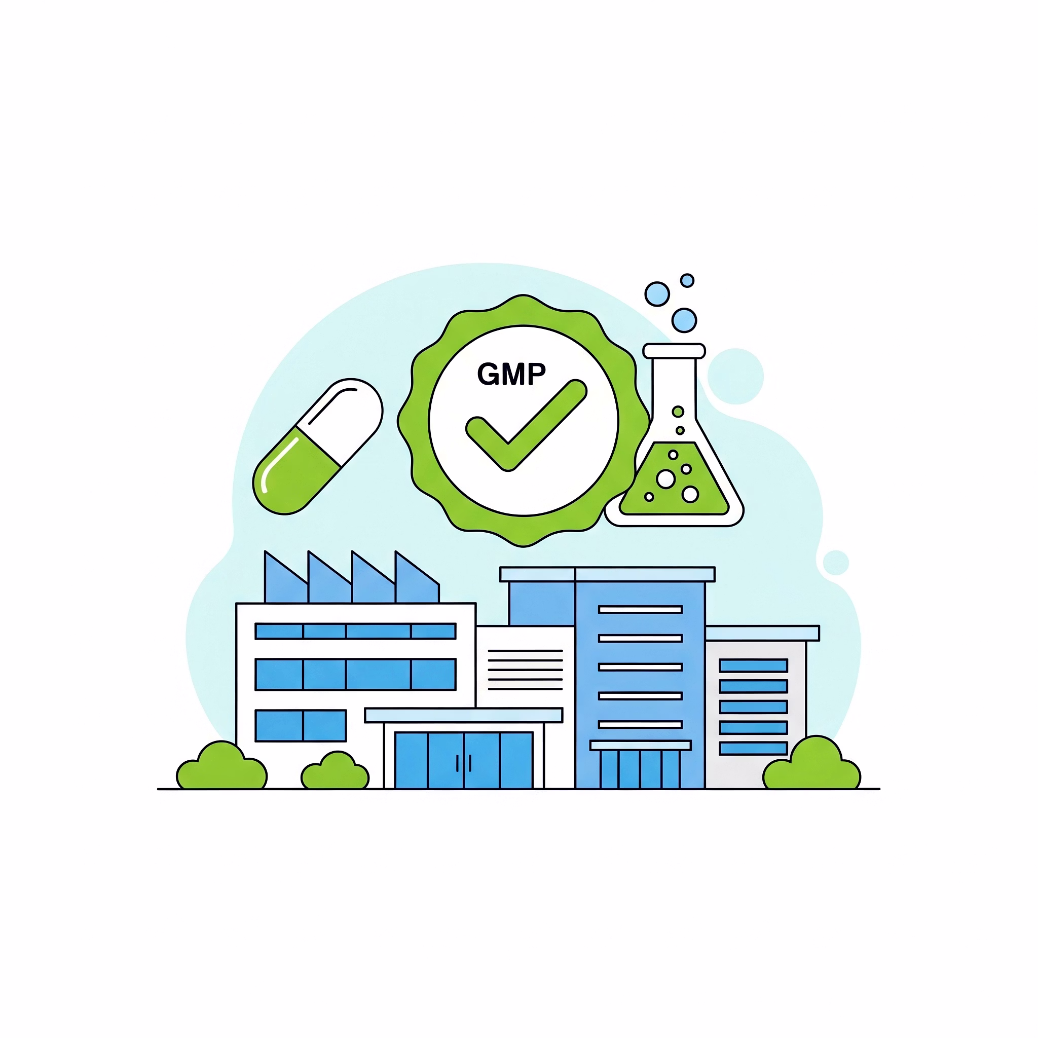 GMP Certified Manufacturing
