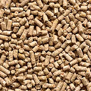 Animal Feed & By-products