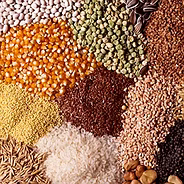Grains, Pulses & Cereals