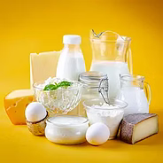 Dairy Products 