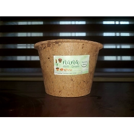 nana coir pot 8 inch diameter(set of 3)