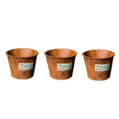 nana coir pot 8 inch diameter(set of 3)