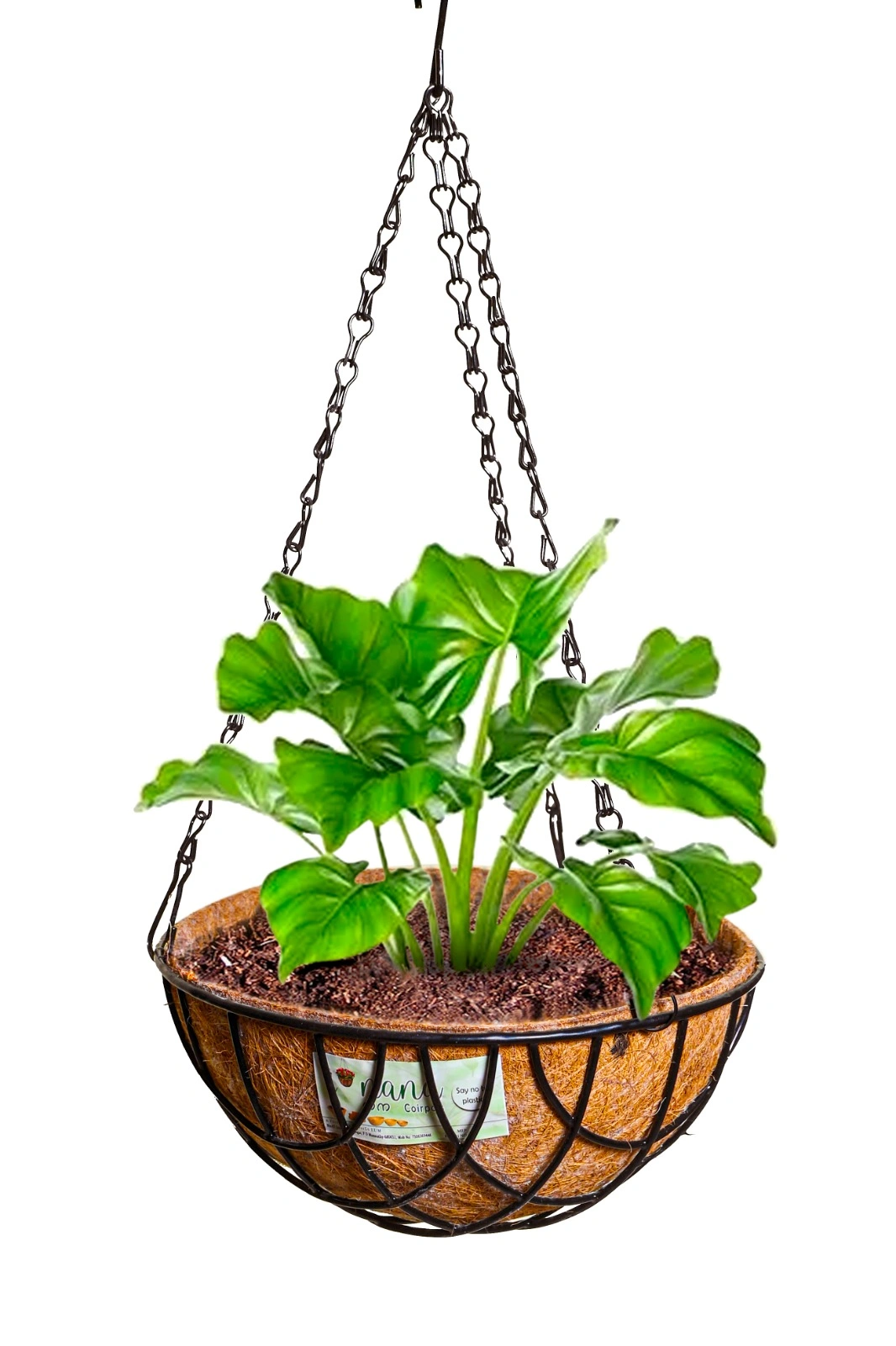 nana 10 inch hanging coirpot-nana10inchhangingpot