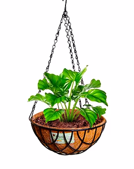 nana 10 inch hanging coirpot