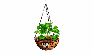 nana 10 inch hanging coirpot