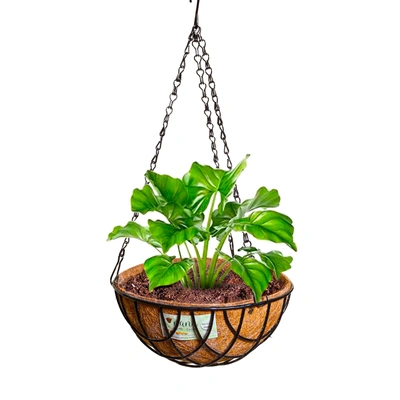 nana 10 inch hanging coirpot