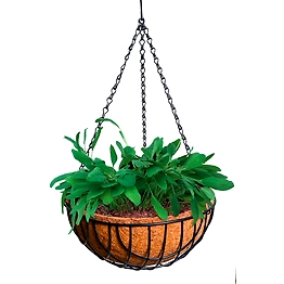 nana 12 inch hanging coirpot