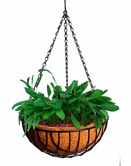 nana 12 inch hanging coirpot