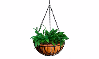 nana 12 inch hanging coirpot