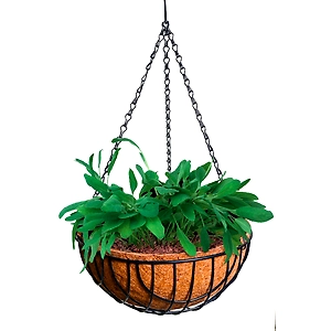 nana 12 inch hanging coirpot