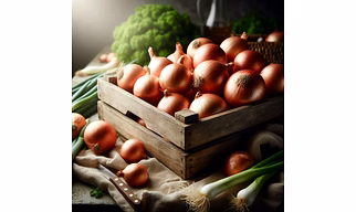 Onion