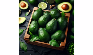 AVOCADO