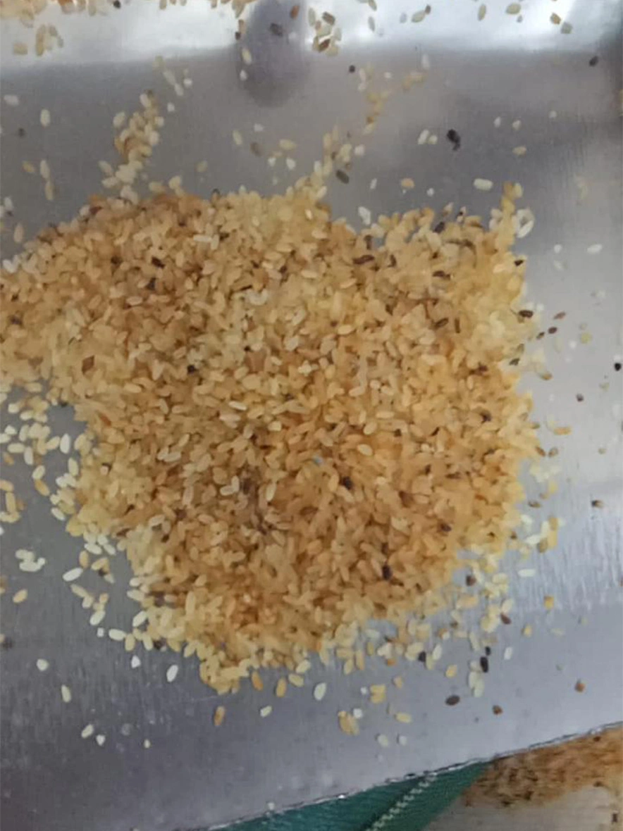 Discoloured rejected rice-IFP1002