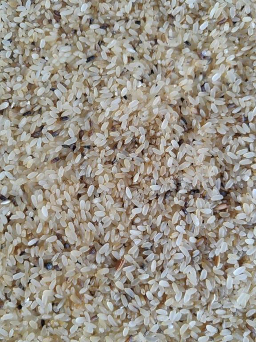 Fine quality discoloured rice and cattle-IFP1003