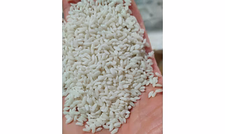 Fortified rice kernel and additives nutritional and protein