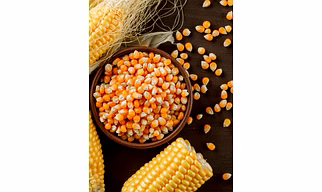Maize Seeds