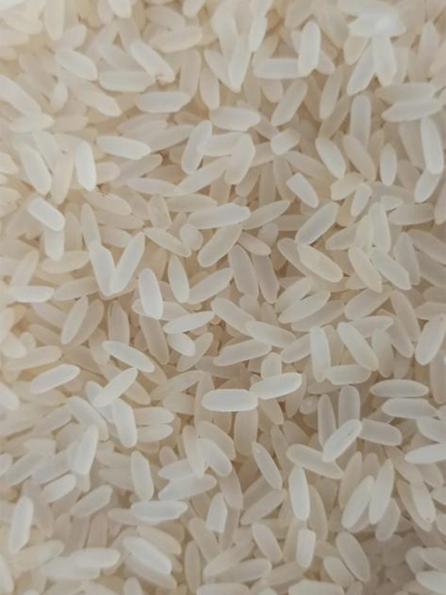 Parboiled rice-IFP1012