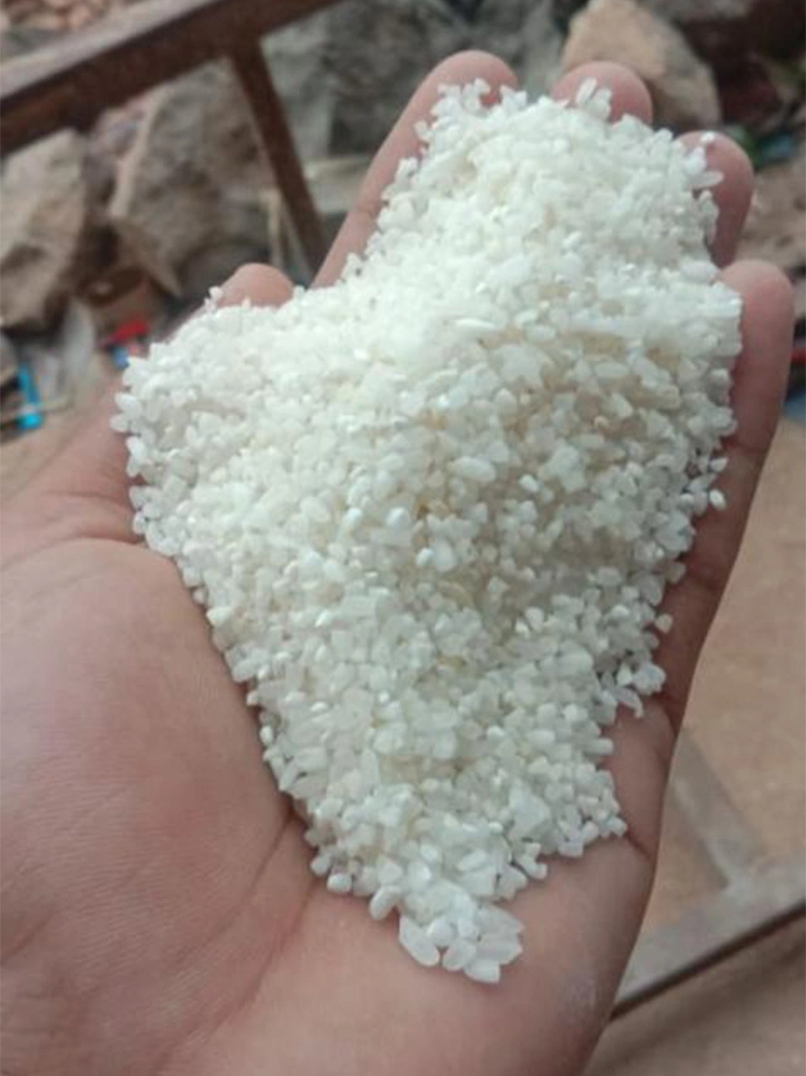 Raw broken rice for human consumption and ethanol-IFP1015