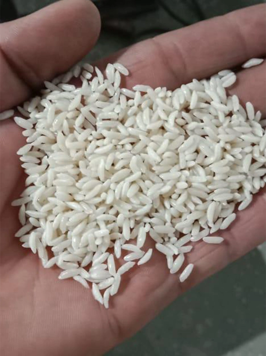 Raw rice-IFP1016