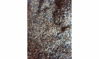 Rejected rice or cattle
