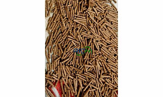 Rice husk ,saw dust,paddy straw pallets and briquettes for bio fuel (substitute for