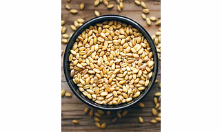 Wheat and Wheat Powder