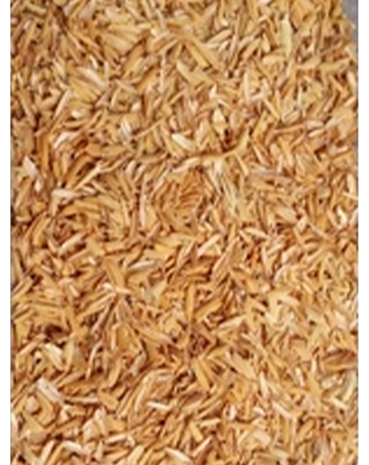 Rice Husk | India Food Processing | India Food Processing