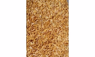 Rice Husk