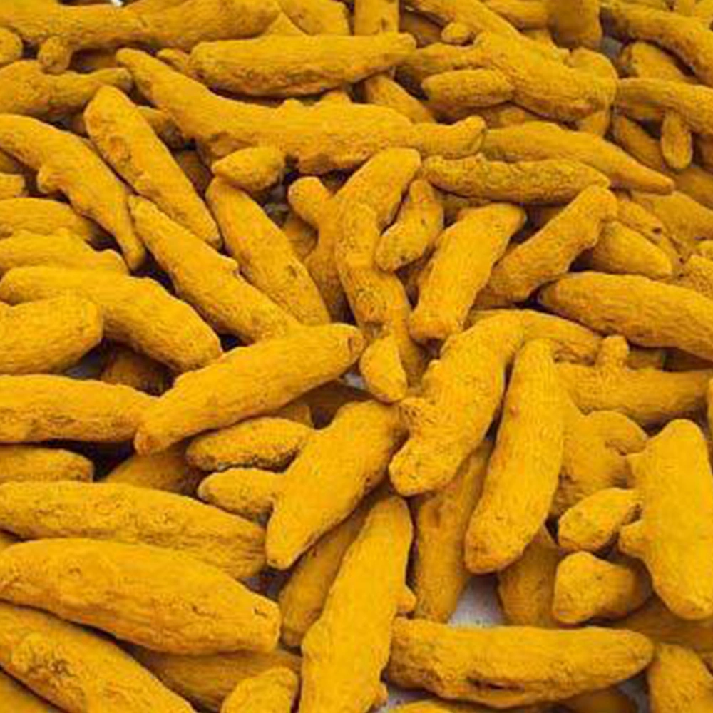 Odisha best quality turmeric and turmeric powder-2