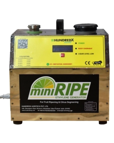 Mini Ripe Ethylene Generator-HXAMR