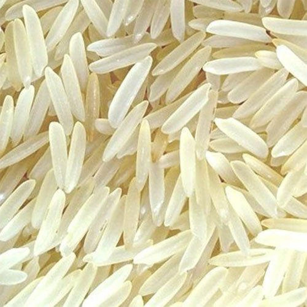 Non Basmati Parmal Rice-A1AGRO025