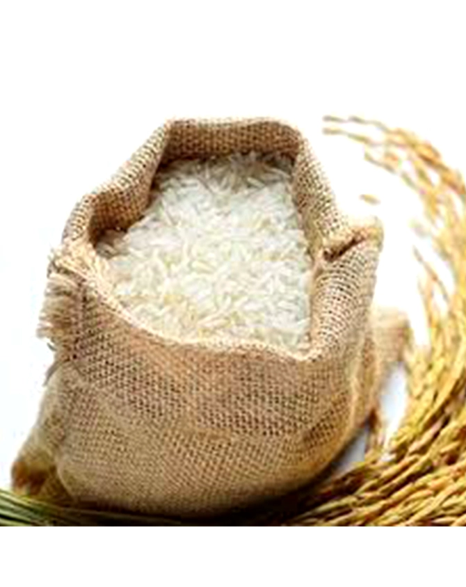 Sugandha Rice Extra Long Grain-A1AGRO026