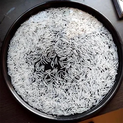 A1 Agro India Pusa Basmati Rice Extra Long Grain