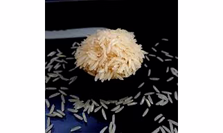 Traditional Raw Basmati Rice