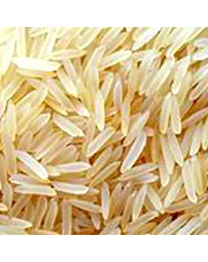 Pusa Steam Basmati Rice-A1AGRO032