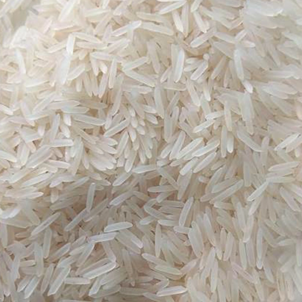 1509 White Creamy Sella Basmati Rice-A1AGRO036