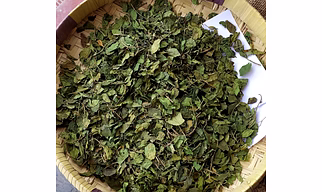 GYMNEMA LEAVES