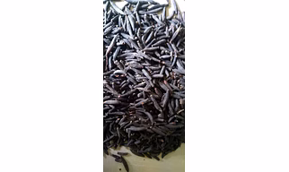 MARATHI MOGGU