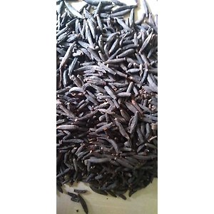 MARATHI MOGGU