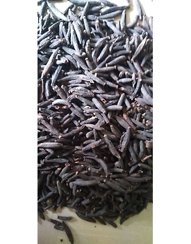 MARATHI MOGGU