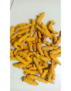 TURMERIC FINGER