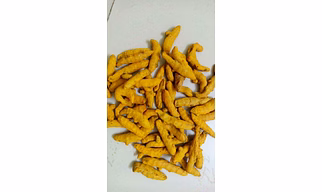 TURMERIC FINGER