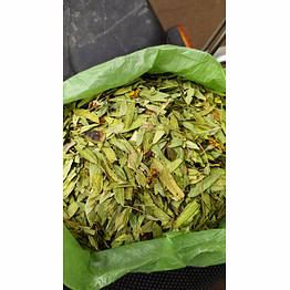 senna leaves