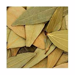 bay leaf